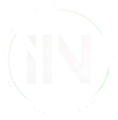 IIN